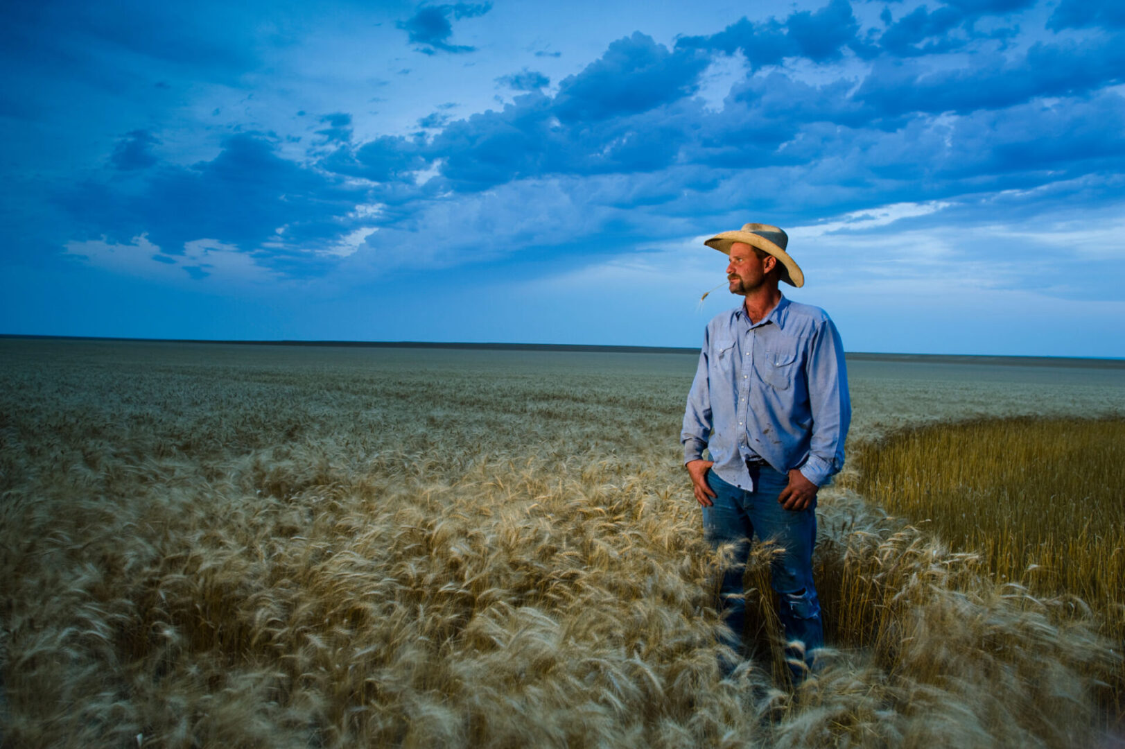 Contact | Get in Touch with Custom Farm Seed